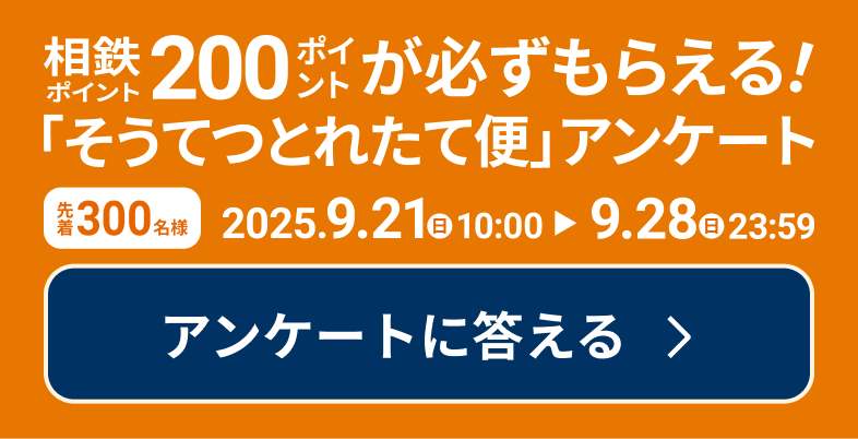 アンケートに答える