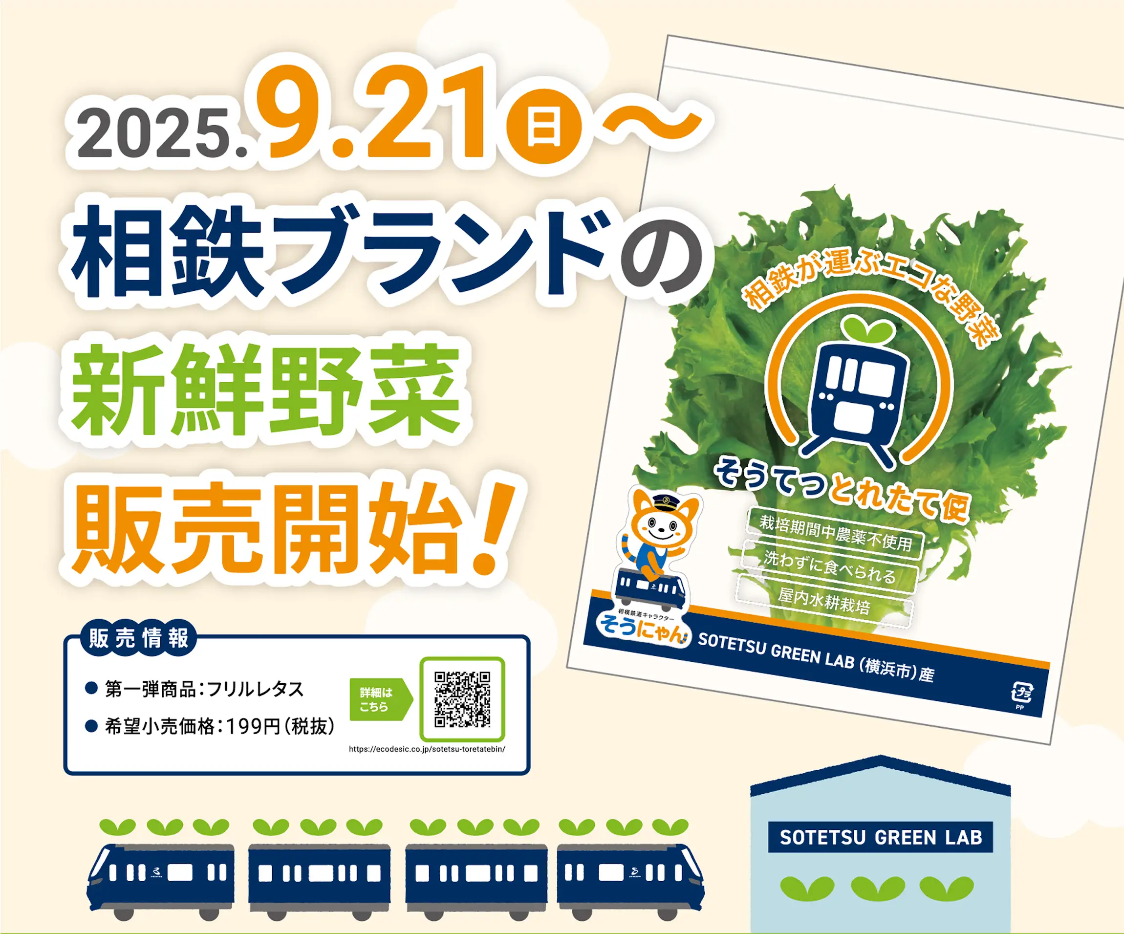 相鉄ブランドの新製野菜 販売開始！